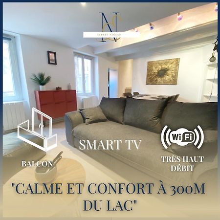 Esprit Nomad - Appartement Rue Pietonne Proche Lac 안시 외부 사진