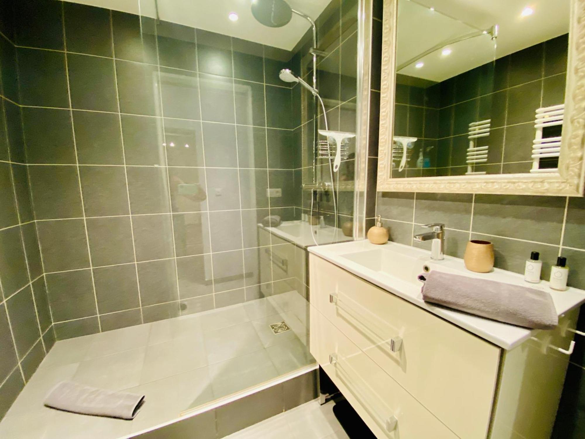 Esprit Nomad - Appartement Rue Pietonne Proche Lac 안시 외부 사진